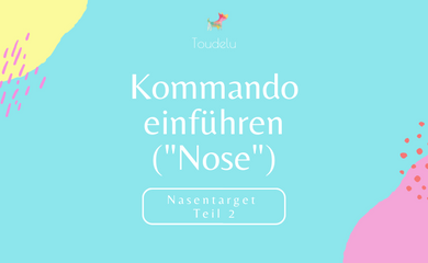 Nasentarget Teil 2: Neues Kommando einführen (