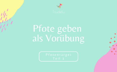 Pfotentarget Teil 1: Pfote geben als Vorübung