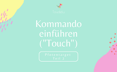 Pfotentarget Teil 2: Neues Kommando einführen (