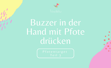 Pfotentarget Teil 3: Buzzer in der Hand mit Pfote drücken