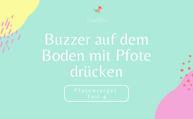 Pfotentarget Teil 4: Buzzer auf dem Boden mit Pfote drücken
